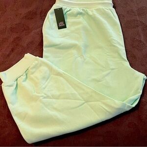 Plus Size Mint Sweatpants